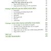 Ngọc phỉ thúy bí ẩn và huyền diệu - Nguyễn Thị Thúy Hà - Hình ảnh 2
