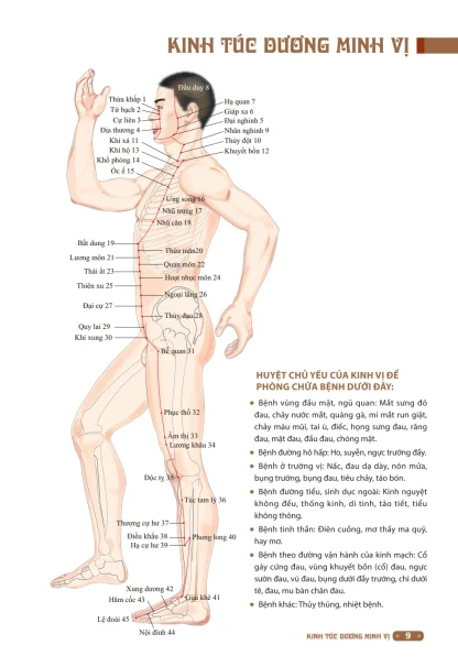 Đồ Giải Kinh Lạc Huyệt Vị Cơ Thể - Từ Bình - Ảnh 3