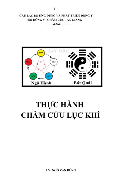 Giáo Trình Lý Luận Cơ Bản Và Thực Hành Châm Cứu Lục Khí - Thầy Đặng Đức Thảo , Lương Y Ngô Văn Đúng - Hình ảnh 4